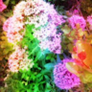 Meet your Posher, Dafne